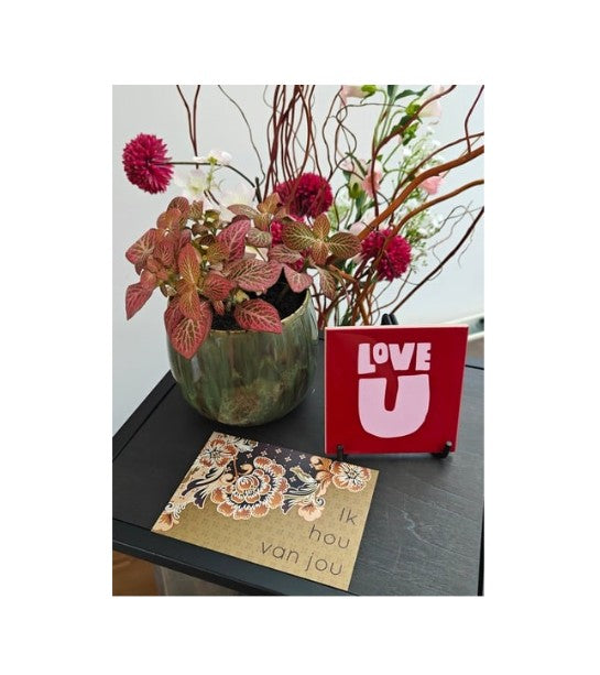 Allerliefste special