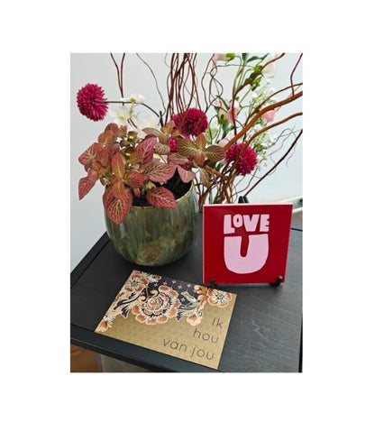 Allerliefste special